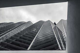 Architecture and buildings in Black and White over City of Arts and Sciences in Valencia, Spain,