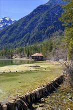 Dobbiaco Lake, Dobbiaco, Three Peaks nature Park, UNESCO World Heritage Site, Sesto Dolomites,