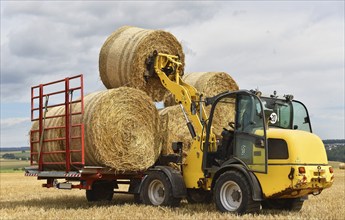 Straw bales are loaded onto wagons, Hesse, Germany, Europe