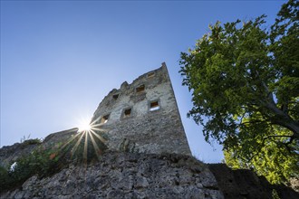 The Altbodman castle ruins on the Bodanrück, Bodman-Ludwigshafen, Constance district,