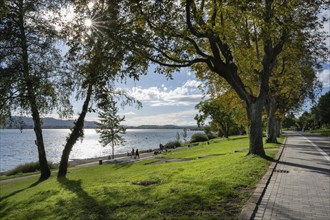 Lakeside promenade on the Mettnau peninsula near Radolfzell, Constance district, Baden-Württemberg,