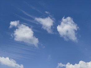 Left right Small fleecy clouds, Cirrocumulus clouds, Cirrocumulus clouds, in the background above