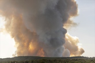 Forest fire wreaks havoc on causse de sauveterre. Montuejols, Aveyron, Cevennes, France, Europe