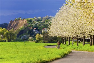 Elbe Valley near Meissen