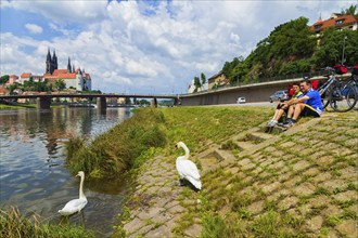 Elbe Cycle Route in Meissen