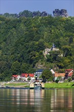 Elbe steamer Pillnitz in Rathen