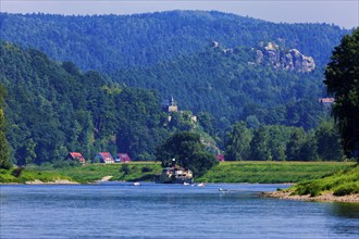 Elbe steamer Pirna in Wehlen