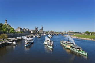 Steamboat parade on the Elbe