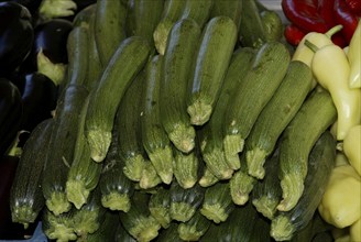 Garden gourds (Cucurbitaceae), landscape, horizontal, food, foodstuffs