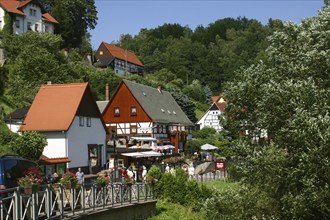 Elbe Cycle Path in Rathen