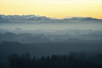 View from the Siggener Höhe on landscape in the Allgäu to the Alps after sunset. Fog over the