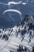 Mountains in winter, paraglider with skis on Sonntagshorn, Chiemgau Alps, Bavaria, Germany, Europe