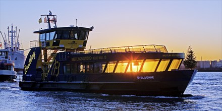 HVV harbour ferry MS Ovelgönne with fir tree in regular service at sunrise on the Norderelbe, Port