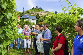 Open Winery Day in Saxony