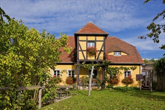 Dresdenpillnitz half-timbered house on the Elbe