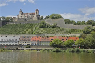 View of Marienberg Fortress with vineyards on the Schlossberg and houses on the banks of the Main,