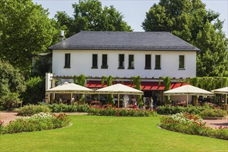 Rose garden in Dresden