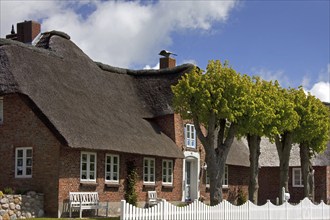 Traditional Frisian thatched house in Oldsum on the Island of Föhr, Nordfriesland, North Frisia,