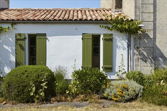 Old house with green shutters and front garden with various shrubs and plants on the island of