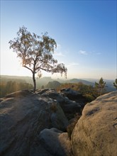 View from the Carola rock into the Schrammstein area in the back of Saxon Switzerland