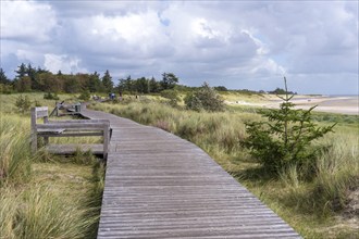 Wooden footbridge, in the dunes between Nieblum and GrevelingInsel, Föhr, North Frisia,