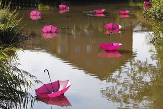 The river Abens decorated with pink umbrellas, Abensberg, Lower Bavaria, Hallertau, also Holledau