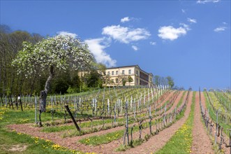 Villa Ludwigshöhe Castle, the former summer residence of the Bavarian King Ludwig I, Edenkoben,