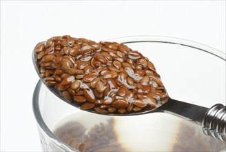 Swollen linseed (Linum usitatissimum) on spoon, glass with water, linen, seed linen, linseed