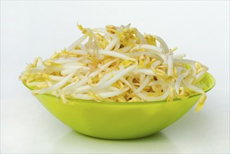 Mung beanstree sprouts in shell (Vigna mungo) (Phaseolus mungo), Mung beans (Phaseolus radiatus)