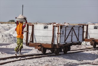 SAMBHAR, INDIA, NOVEMBER 19, 2012: Women mining salt at lake Sambhar, Rajasthan, India. Sambhar