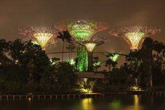 SINGAPORE, DECEMBER 31, 2013: Night view of Supertree Grove at Gardens by the Bay. Futuristic park