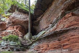 Old castle rock, red sandstone rock formation, natural and cultural monument, Brechenberg near