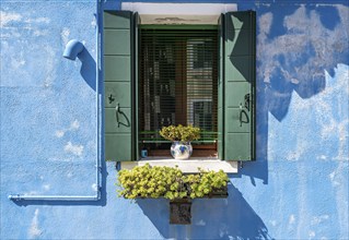 Window with shutters and flowers on a blue house wall, colourful houses on the island of Burano,