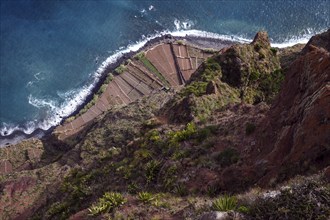 View from the glass-bottom skywalk, Cabo Girao, of terraced fields by the sea, Camara de Lobos,