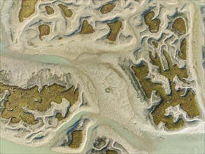 Network of channels and streams at low tide, in the marshland of the Bahía de Cádiz, aerial view,