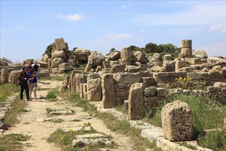 Selinunte, remains of the temples in the archaeological site of Selinunte, Trapani province,