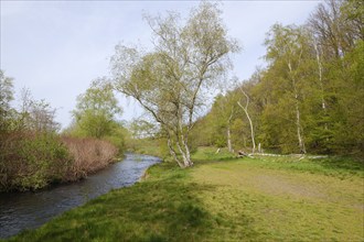 River Oker in the Oker Valley, Vienenburg, Goslar, Harz, Lower Saxony, Germany, Europe