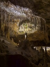 Caves of Drach, Coves del Drac, Porto Christo, Majorca, Balearic Islands, Spain, Mediterranean Sea,