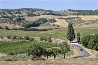 Car on a country road near Montepulciano, Tuscany, Italy, Europe