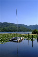 Lago di Firmon, Colli Berici near Vicenza, Veneto, Veneto, Italy, Europe