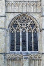 Window, Cathedral, Canterbury, Kent, England, Great Britain