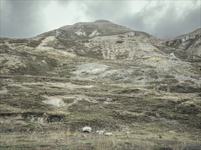 Landscape in the Andean highlands, Curipata, Peru, South America