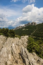 Dentelles de Montmirail, Vaucluse Department, Provence, Provence-Alpes-Côte dAzur, France, Europe