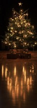 Christmas tree, decorated with tinsel and Christmas baubles, December, Advent, Germany, Europe