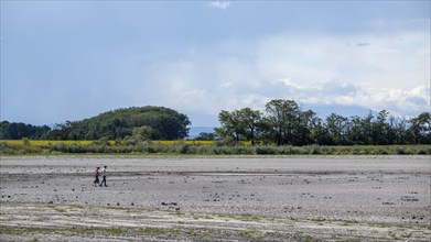 People walking in the very dry Zicksee, Lake Neusiedl-Seewinkel National Park, Burgenland, Austria,