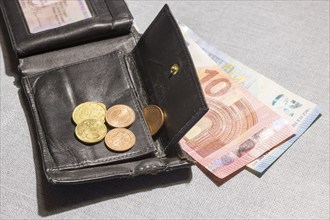 Wallet with coins and notes, euro, Germany, Europe