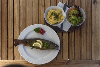 Trout Müllerin Art served with salad in a garden restaurant, Franconia, Bavaria, Germany, Europe