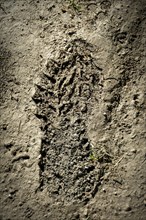 Footprint in the mud. Cezallier plateau. Auvergne. France