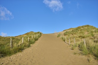 Beach access, sand dune, dune grass, wind, clouds, Zandvoort, North Sea, North Holland, Netherlands