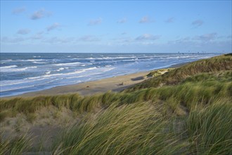 Sand dune, Sea, Marram Grass, Kitesurfer, Clouds, Zandvoort, North Sea, North Holland, Netherlands